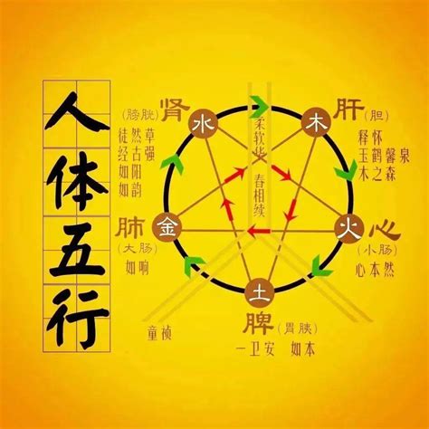 土金水|五行生克（哲学理论）